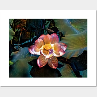 Nelumbo nucifera Posters and Art